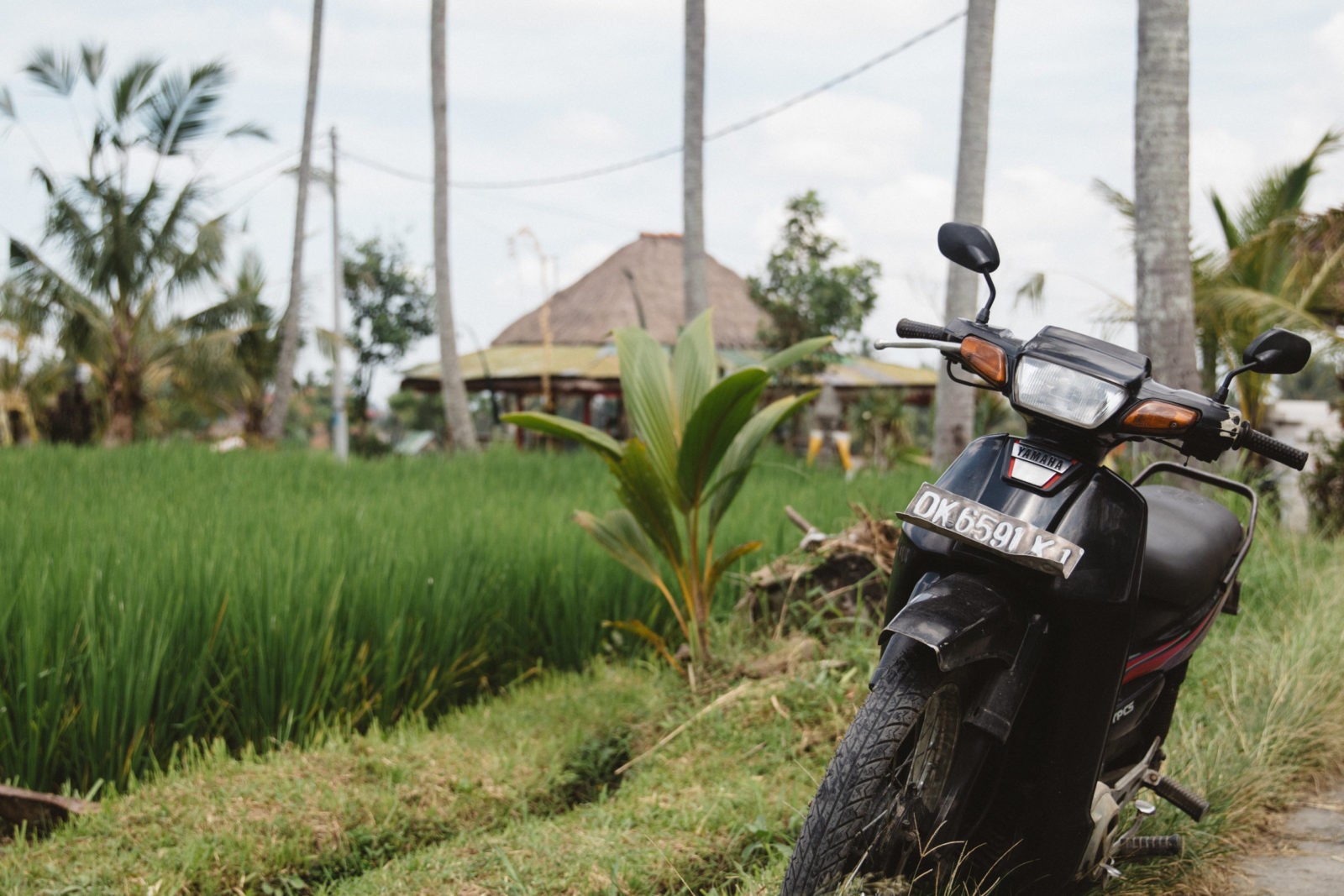 A Scooter Adventure, A High Priestess and Four Lessons